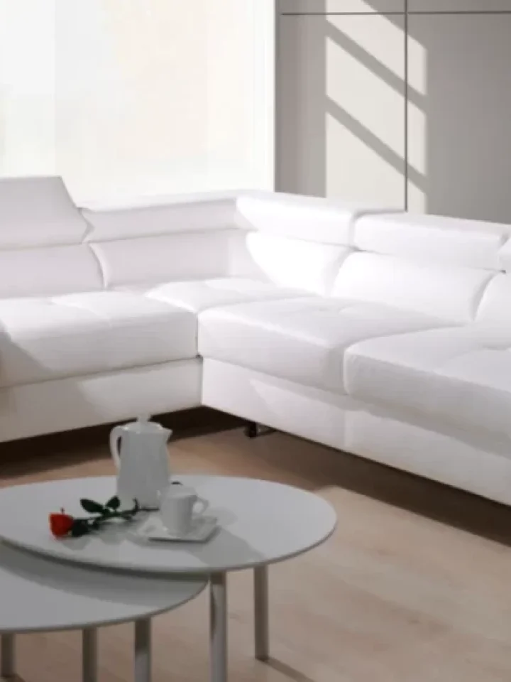 Buying Guide for Leather Sofas