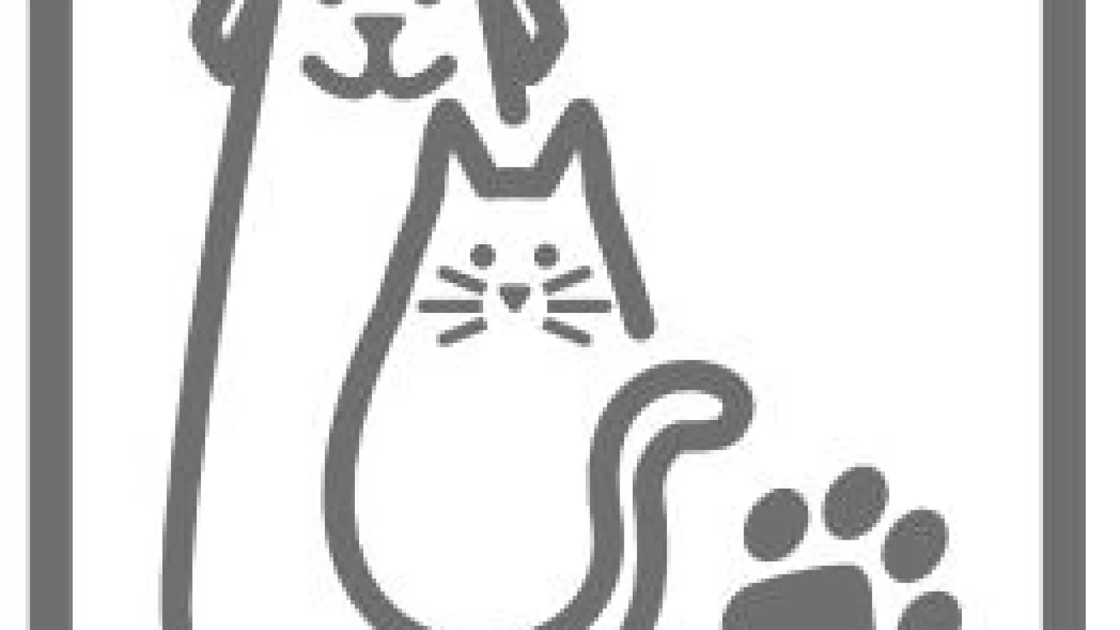 The best pet-friendly furniture for homes with cats and dogs