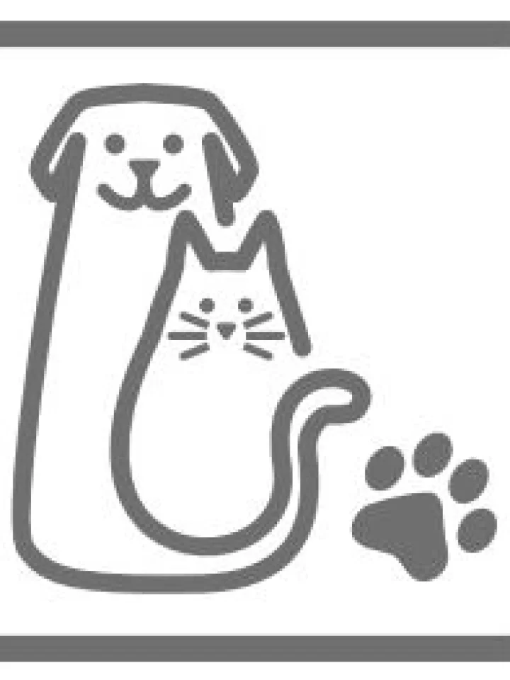 The best pet-friendly furniture for homes with cats and dogs