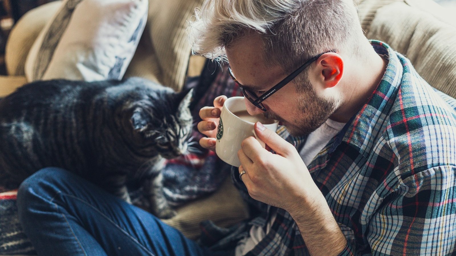 The Ultimate Pet-Friendly Sofa Guide