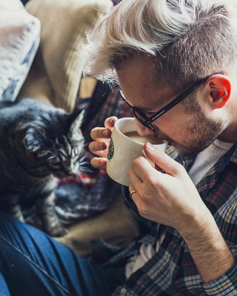The Ultimate Pet-Friendly Sofa Guide