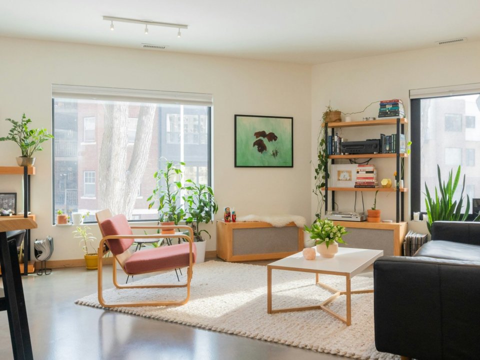 How to decorate your living room? A complete interior design guide