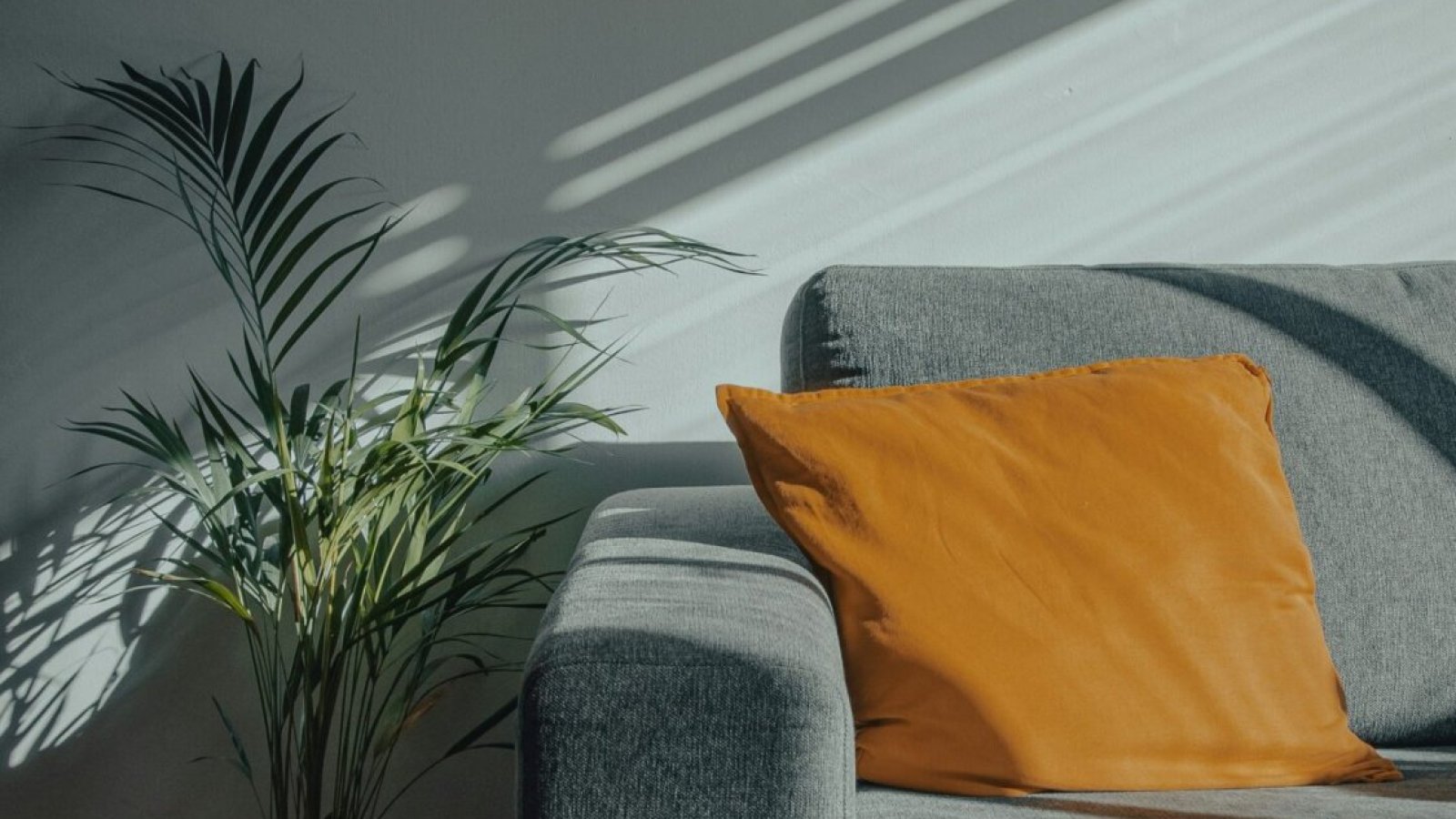 Best Sofas for Back Pain: How to Choose Supportive Seating