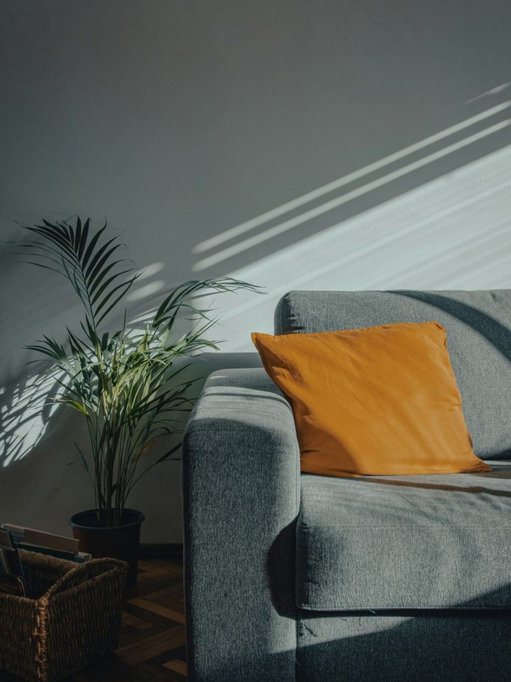 Best Sofas for Back Pain: How to Choose Supportive Seating