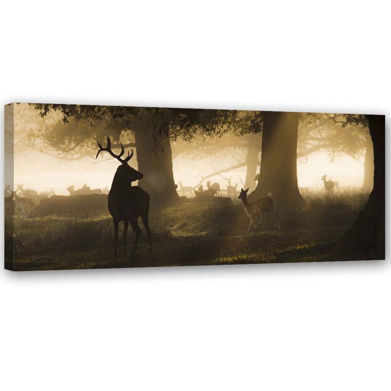 Canvas print, Deer in the Forest Fog Brown