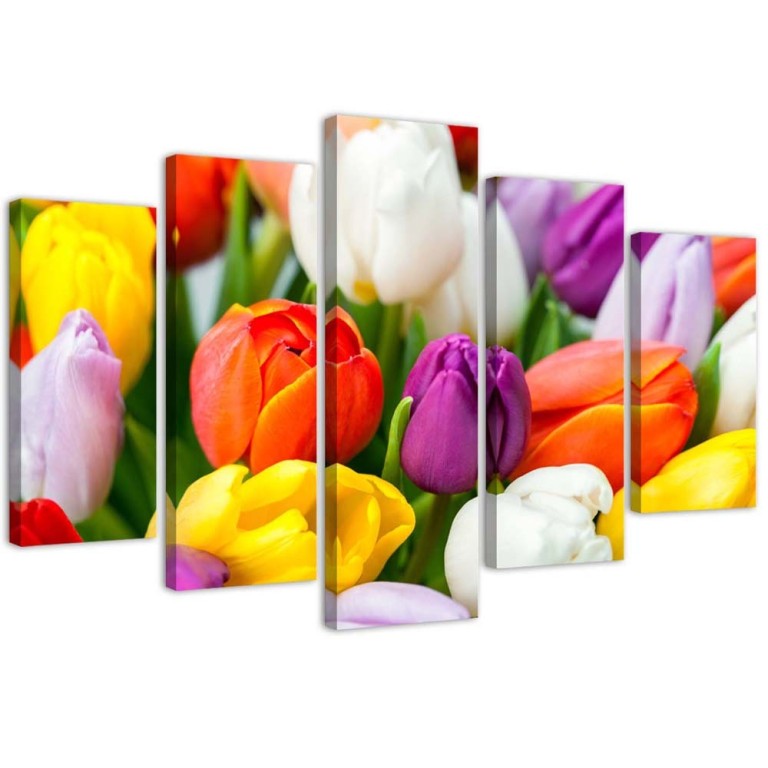 Five piece picture canvas print, Colourful tulip flowers