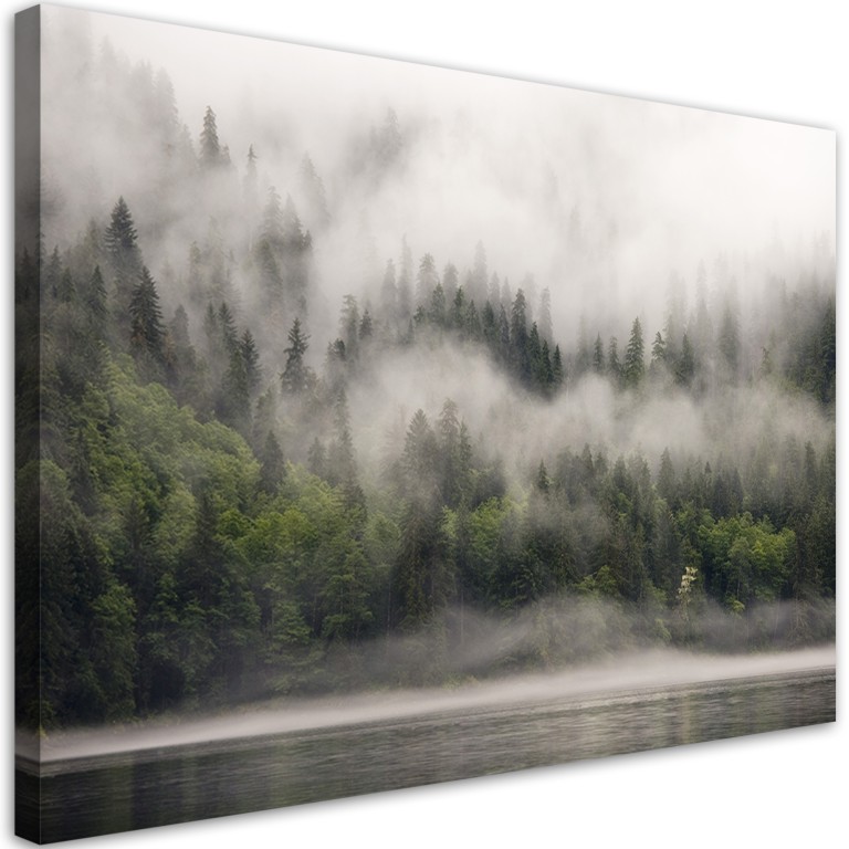 Canvas print, Forest in the fog