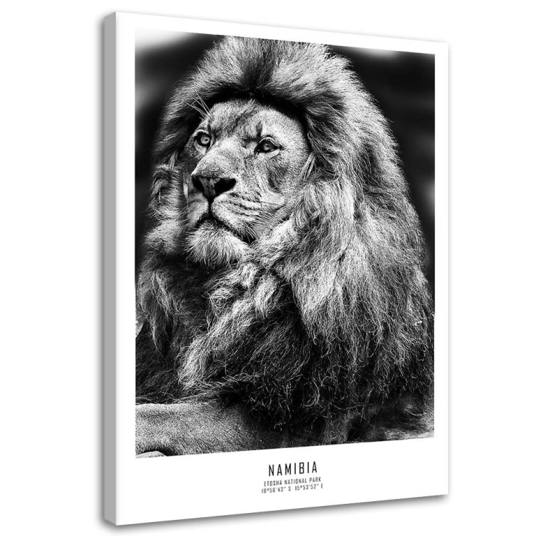 Canvas print, Africa Lion Animals