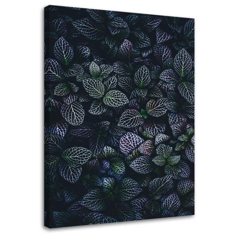 Canvas print, Purple Leaves Nature