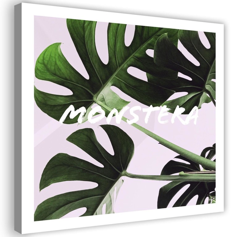 Canvas print, Monstera Exotic Leaves