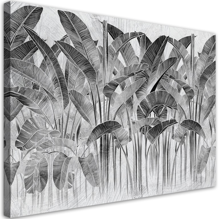 Canvas print, Banana leaves