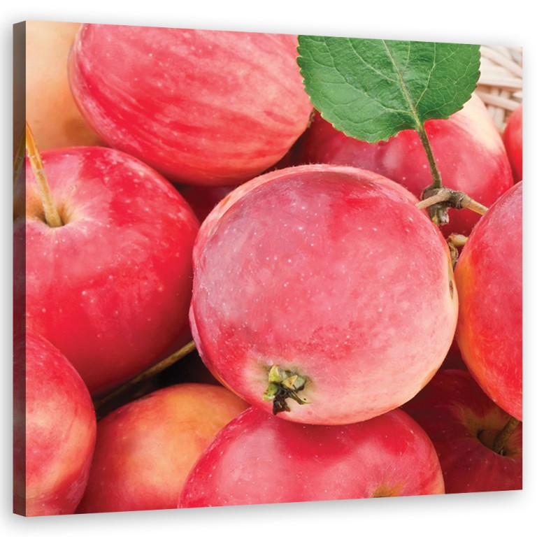 Canvas print, Apple macro