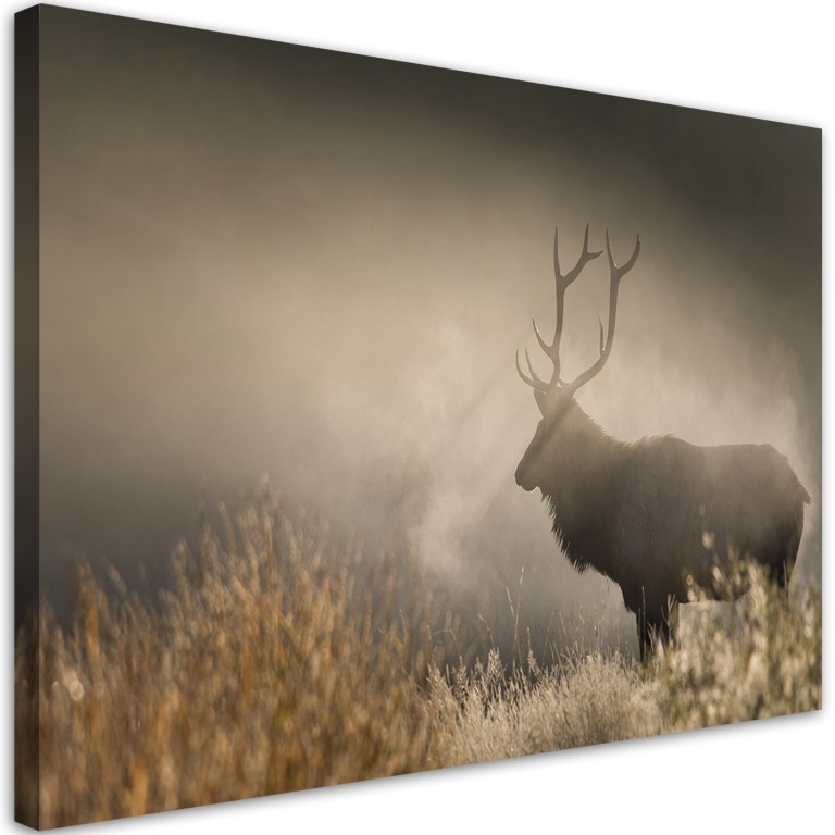 Canvas print, Deer in the mist nature