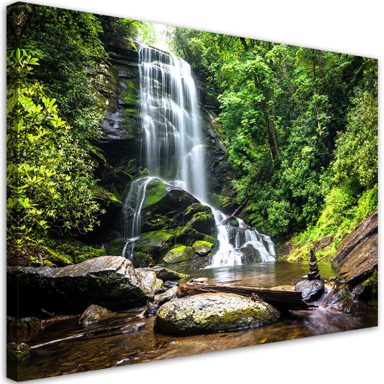 Canvas print, Waterfall in a green forest