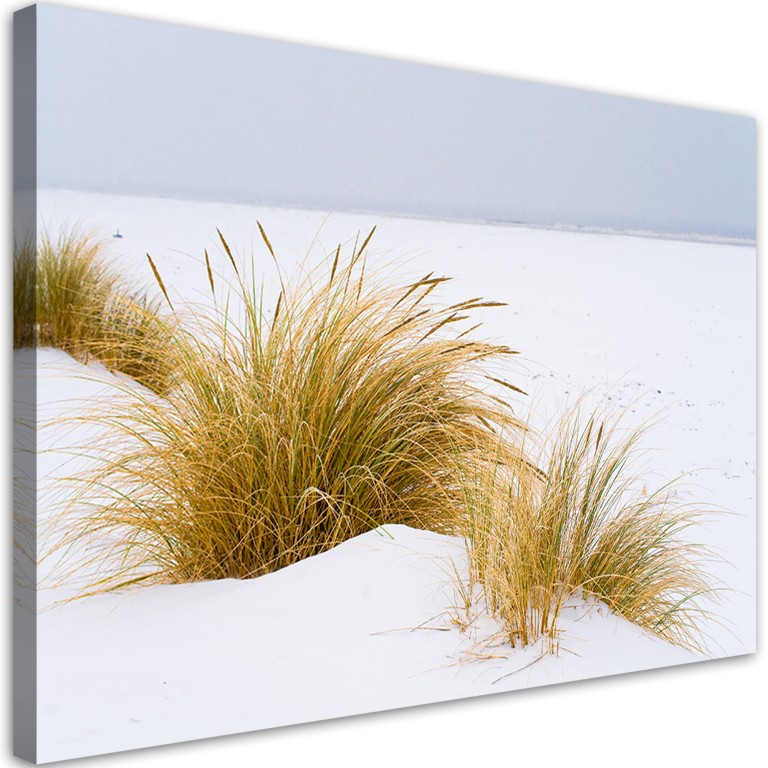 Canvas print, Dunes on golden sand