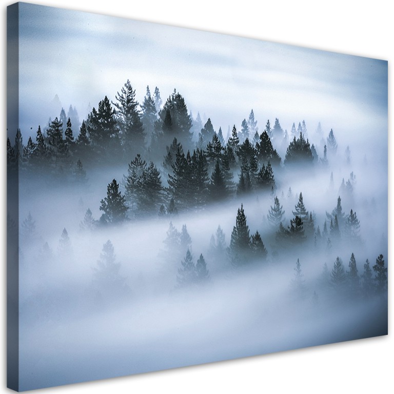 Canvas print, Forest in the fog