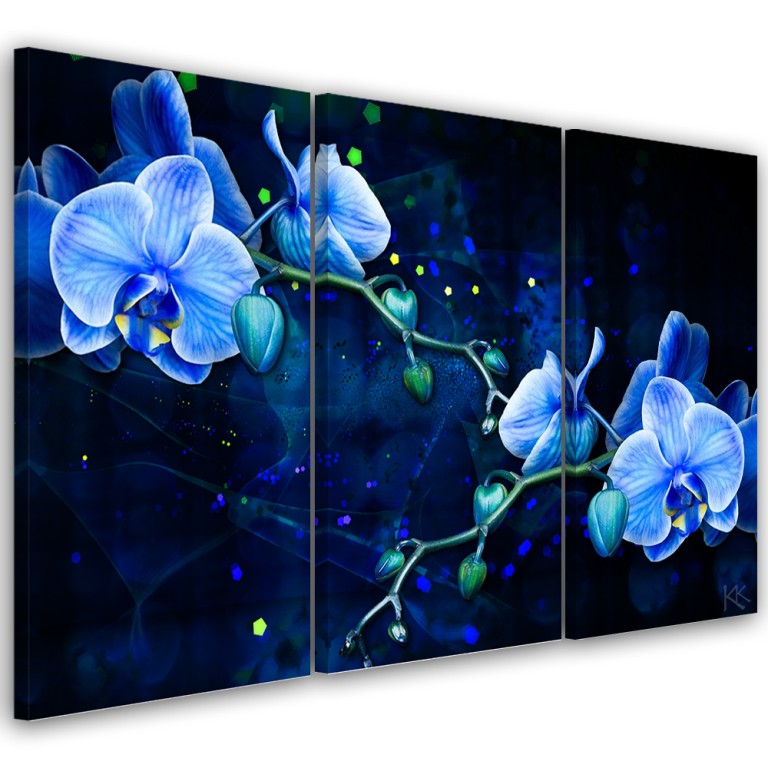 Three piece picture canvas print, Blue orchid flower