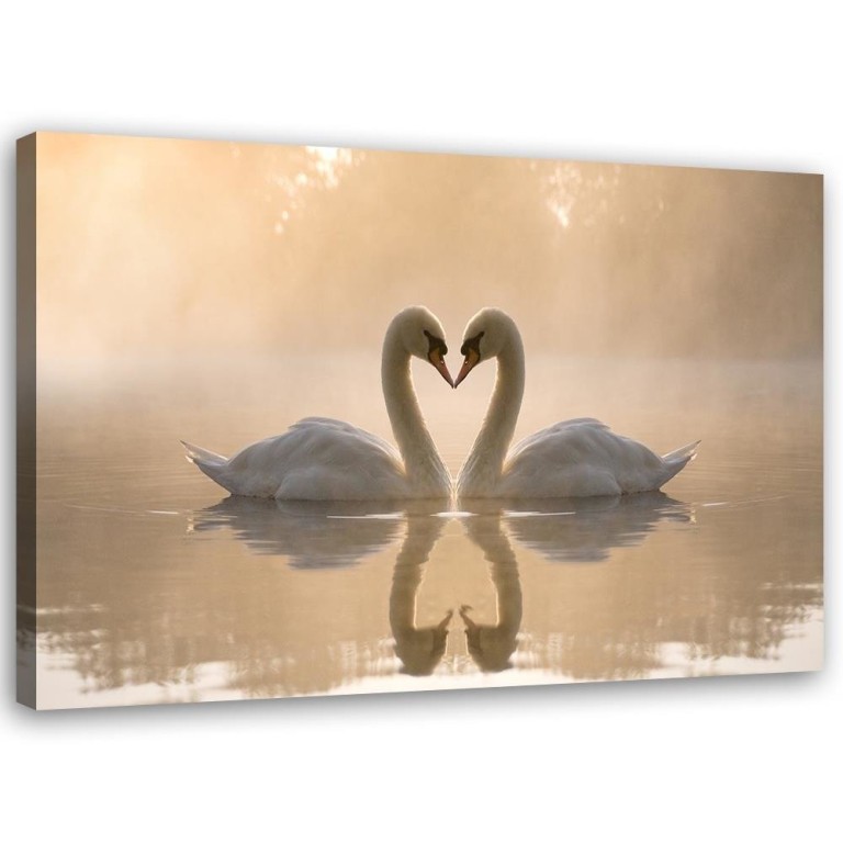 Canvas print, Swans in love at sea