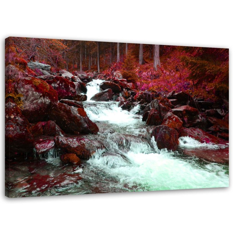 Canvas print, Mountain stream forest red