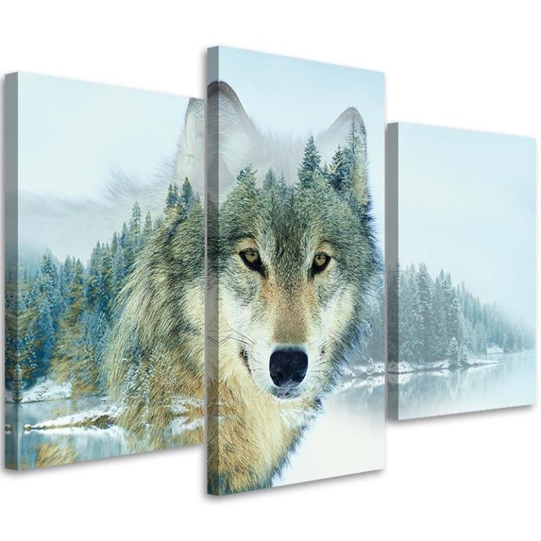 Three piece picture canvas print, Wolf Animal Nature