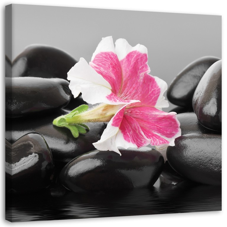 Canvas print, Flowers Zen Stones