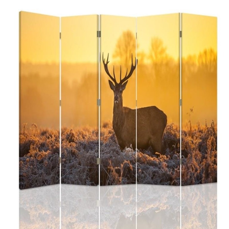 Room divider Double-sided, Deer at the sunset