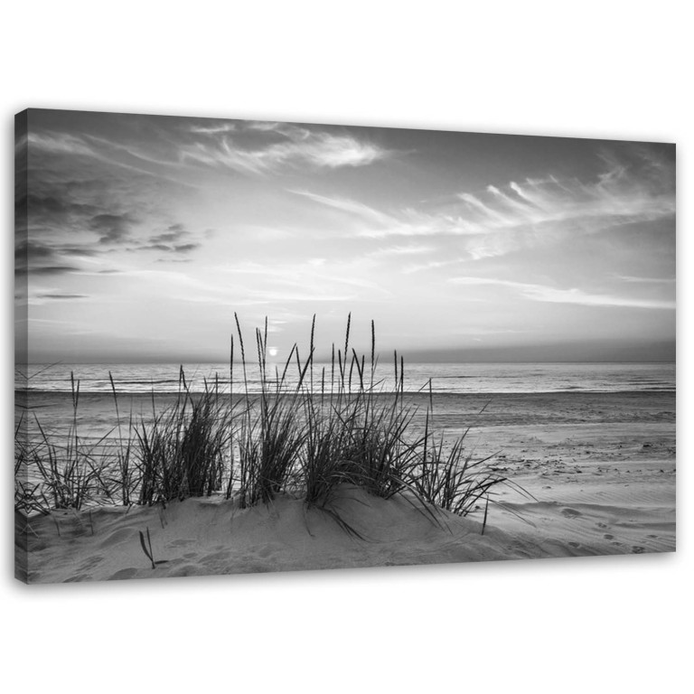 Canvas print, Grass on beach grey