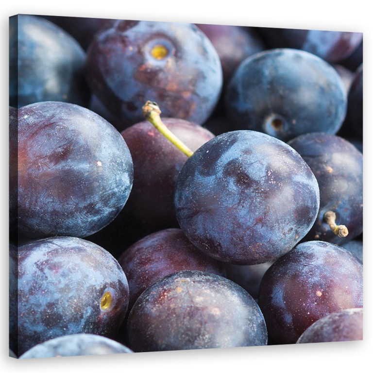 Canvas print, Plum macro