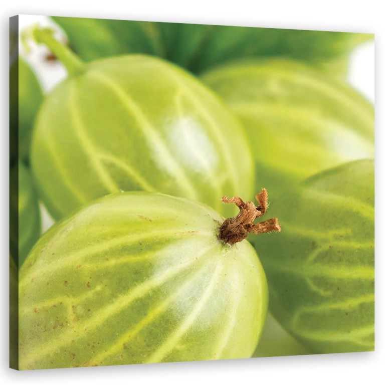 Canvas print, Gooseberry macro