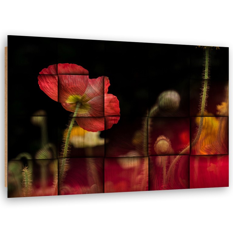 Deco panel print, Red poppy flower