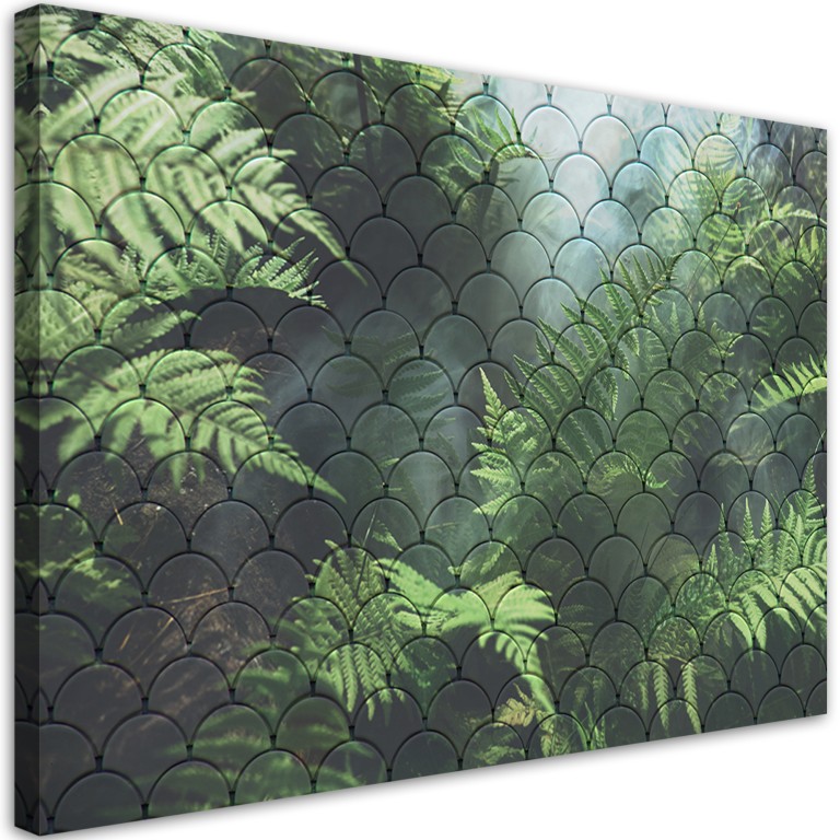 Canvas print, Fern leaves