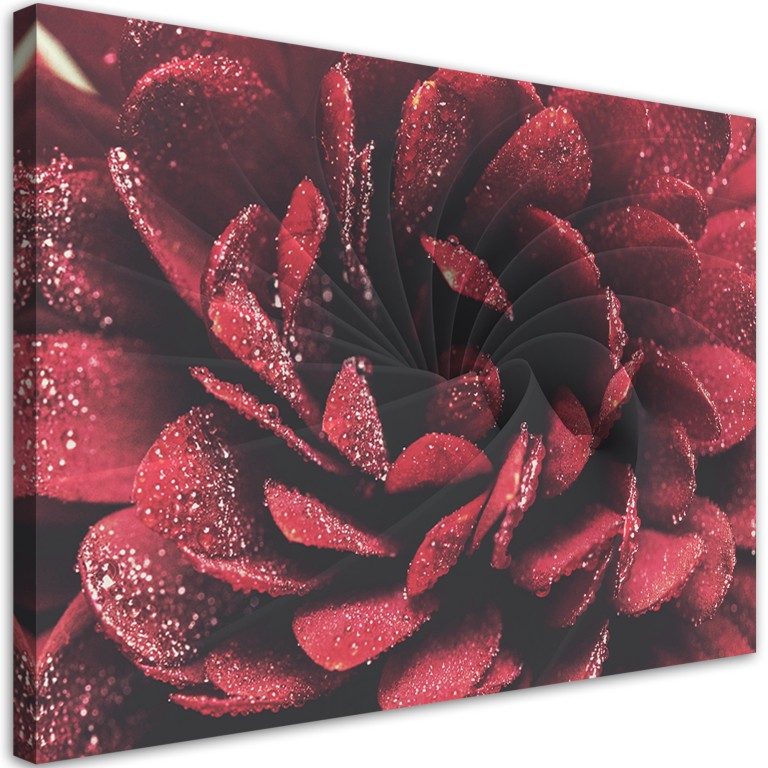 Canvas print, Macro flower