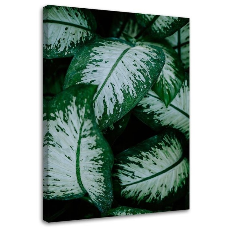 Canvas print, Green Leaves Nature Plant