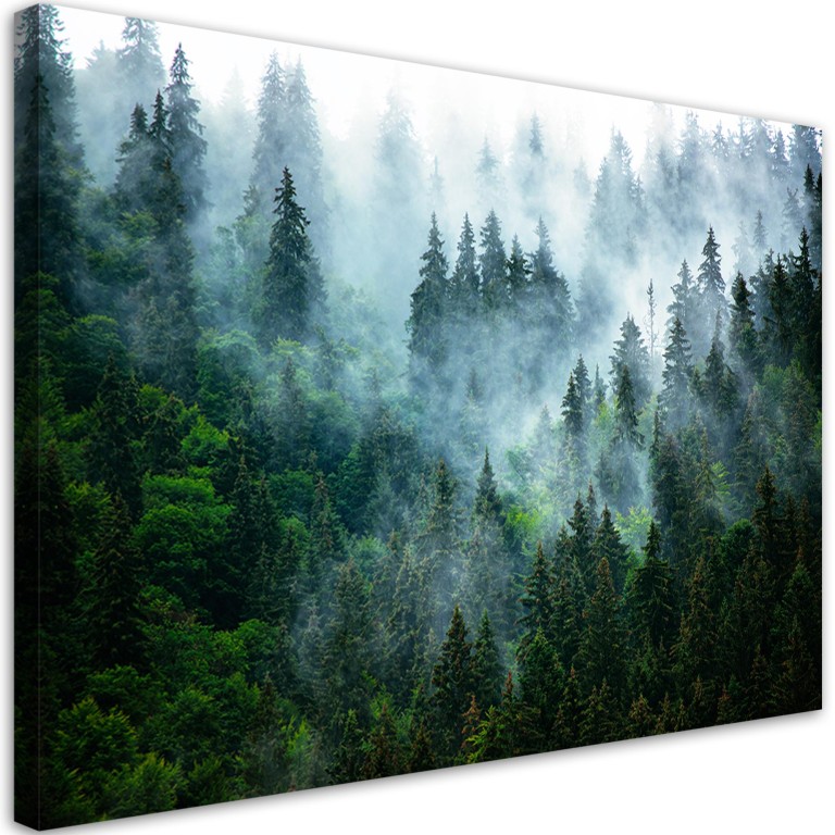 Canvas print, Forest in the fog