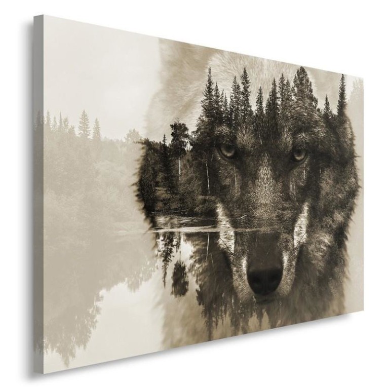 Canvas print, Wolf Forest Fog Nature