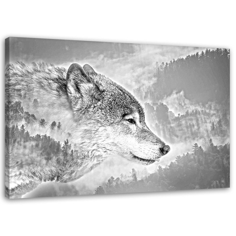 Canvas print, Wolf Animal Fog Forest Nature