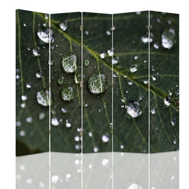 Room divider Double-sided, Raindrops on a leaf