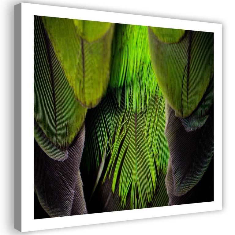 Canvas print, Feather Bird Green