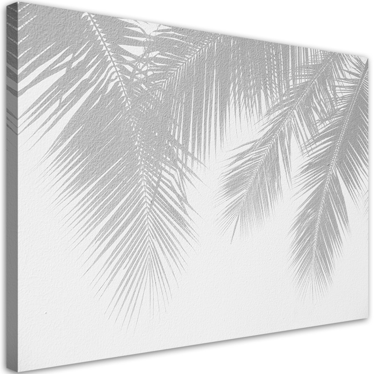 Canvas print, Gray palm leaves