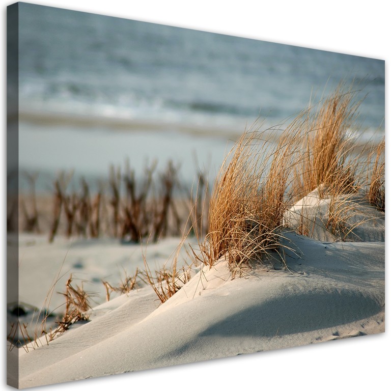 Canvas print, Dunes by the sea