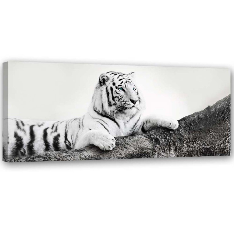 Canvas print, Tiger Africa Animals