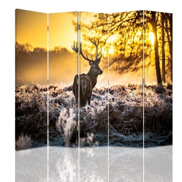 Room divider Double-sided, Deer at the sunset