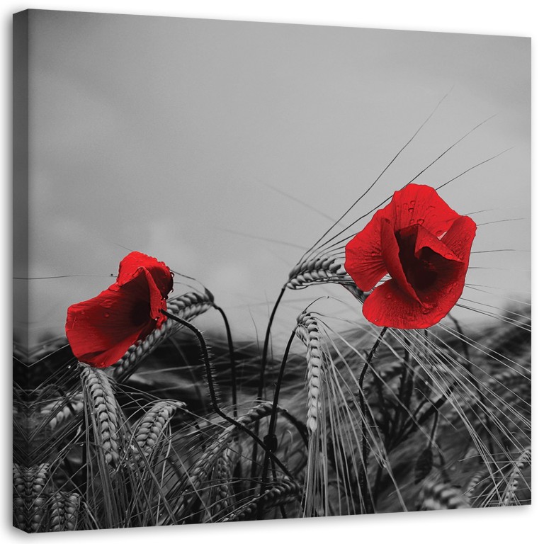 Canvas print, Red poppies and corn