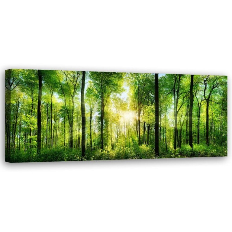 Canvas print, Landscape Forest Green Nature