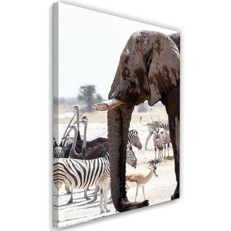 Canvas print, Elephant Africa Animals Nature