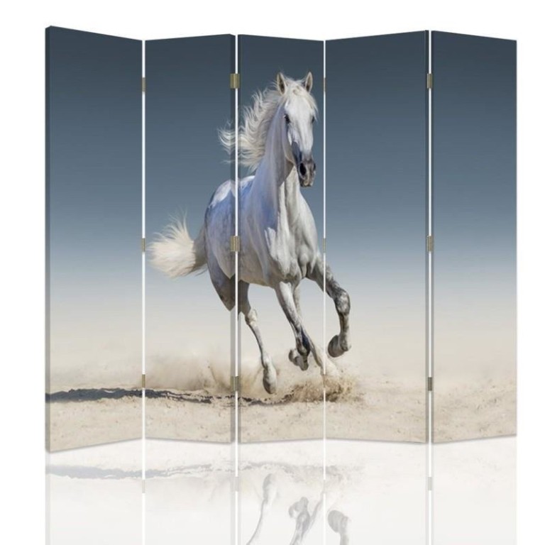 Room divider Double-sided, Horse running on sand