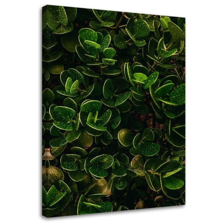 Canvas print, Exotic Green Leaves