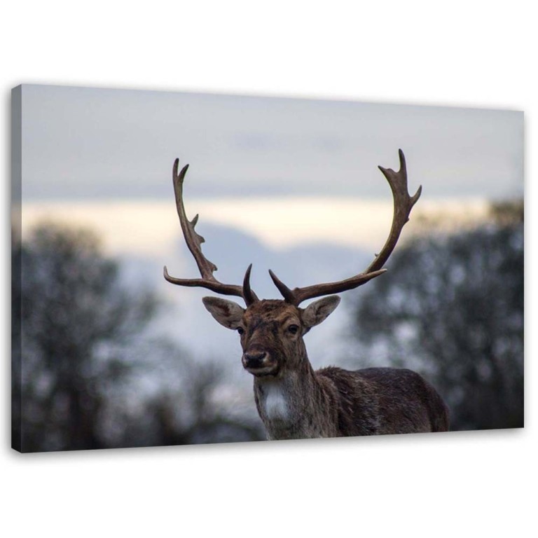 Canvas print, Deer Animals Landscape Nature