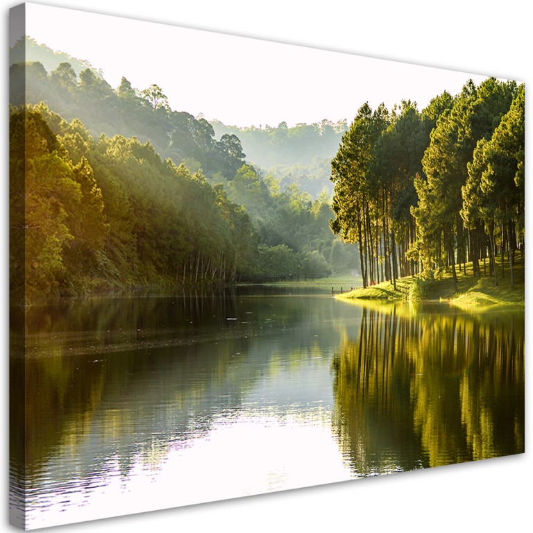 Canvas print, Forest landscape of trees nature