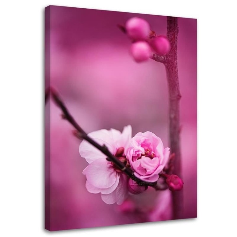 Canvas print, Pink Apple Blossom